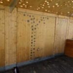 The-original-doors-300x200