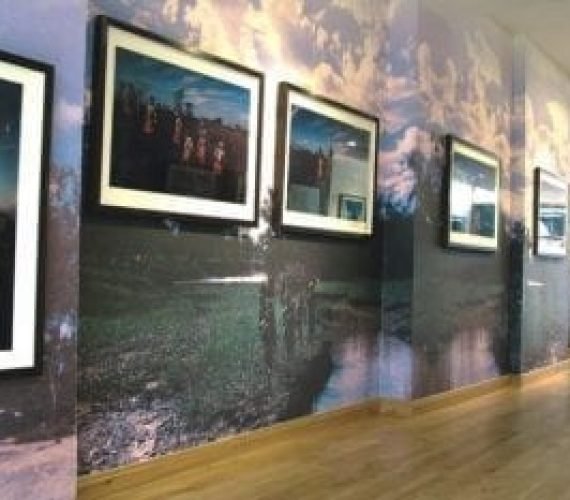 digitally_printed_wallcovering_wallpaper-300x233